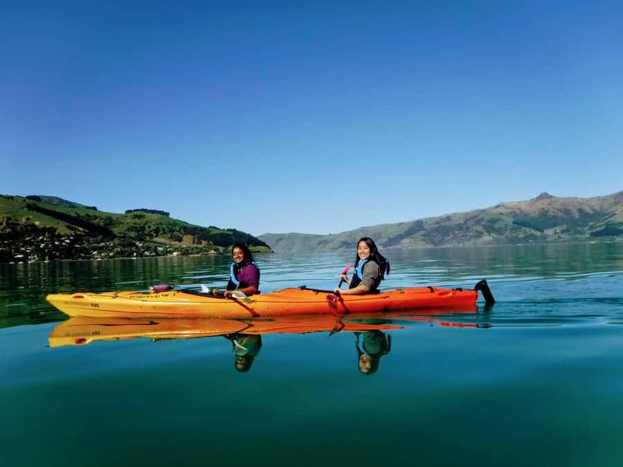Akaroa: Akaroa Marine Reserve Sea Kayaking Tour - Key points to know before you paddle