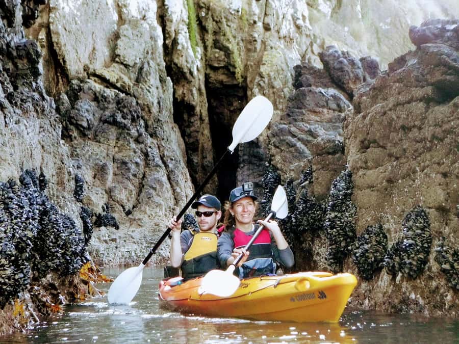 Akaroa: Akaroa Marine Reserve Sea Kayaking Tour - Watching for Hector dolphins and other wildlife