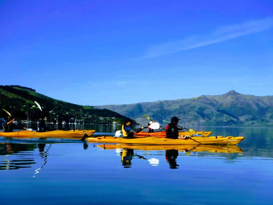 Akaroa: Akaroa Marine Reserve Sea Kayaking Tour - The guides are a major part of the value