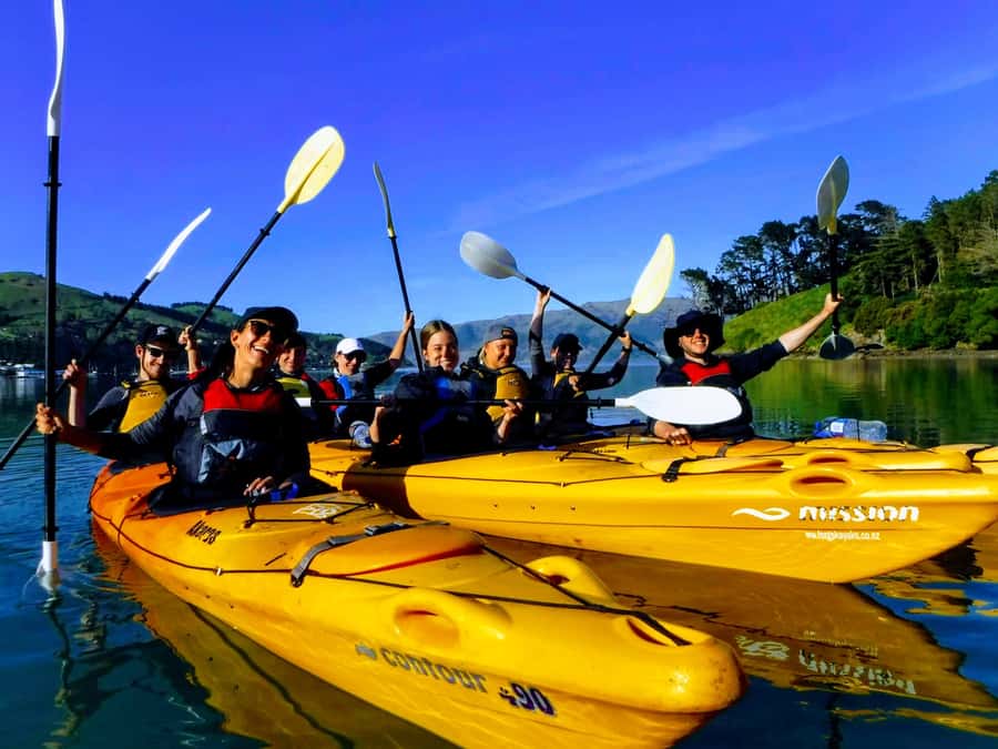 Akaroa: Akaroa Marine Reserve Sea Kayaking Tour - Who will enjoy this Akaroa kayaking tour?