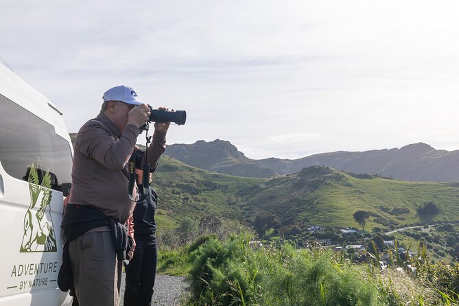 Akaroa & Banks Peninsula from Lyttelton(Private Shore Excursion) - Key points to know before you book