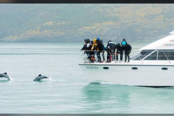 Akaroa Day Tour From Christchurch - How the $161.35 price works in practice