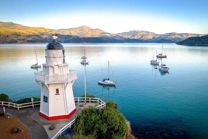 Akaroa Day Tour From Christchurch - What the feedback tells you about the experience