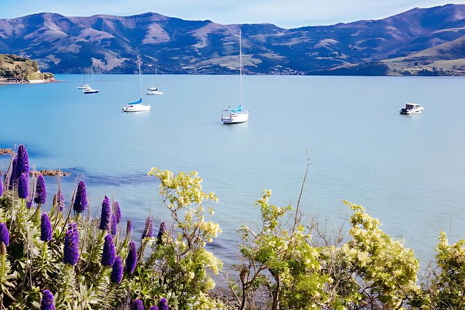 Akaroa Day Tour from Christchurch Return - Akaroa Museum: A Short Introduction to the Town