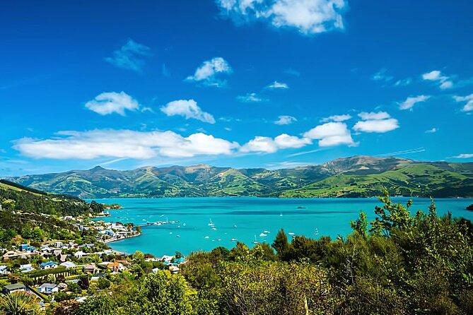 Akaroa Day Tour from Christchurch Return - The Giant’s House Turns a Garden Into Art