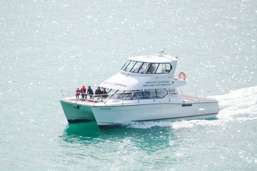 Akaroa: Dolphin Nature Cruise - Why Akaroa Harbour is worth seeing from the water