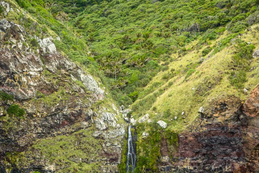 Akaroa: Dolphin Nature Cruise - Commentary that connects geology, people, and wildlife