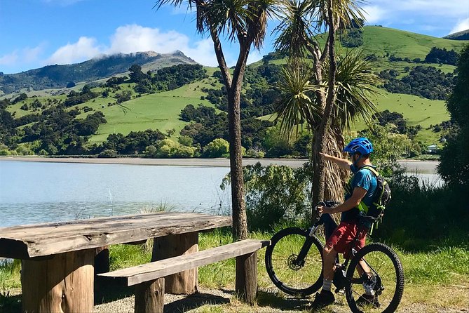 Akaroa Explorer- Guided Electric Bike Tour in Akaroa - How much value do you get for $83.78?