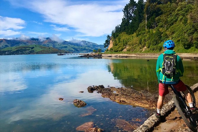 Akaroa Explorer- Guided Electric Bike Tour in Akaroa - Who will enjoy this ride most