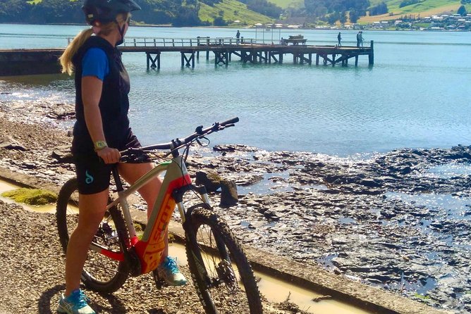 Akaroa Explorer- Guided Electric Bike Tour in Akaroa - Weather, timing, and the practical fine print