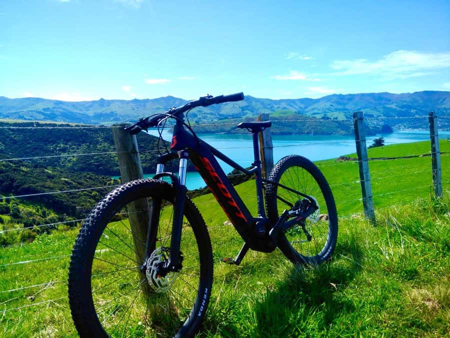 Akaroa Explorer: Guided Electric Mountain Bike Tour - Key points to know before you ride