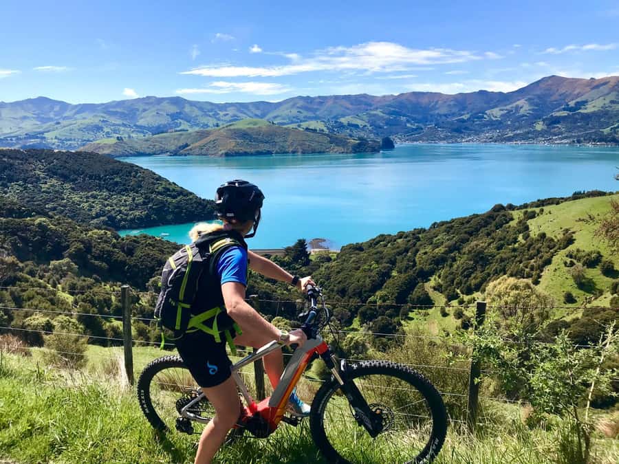 Akaroa Explorer: Guided Electric Mountain Bike Tour - Who should book this Akaroa bike tour?