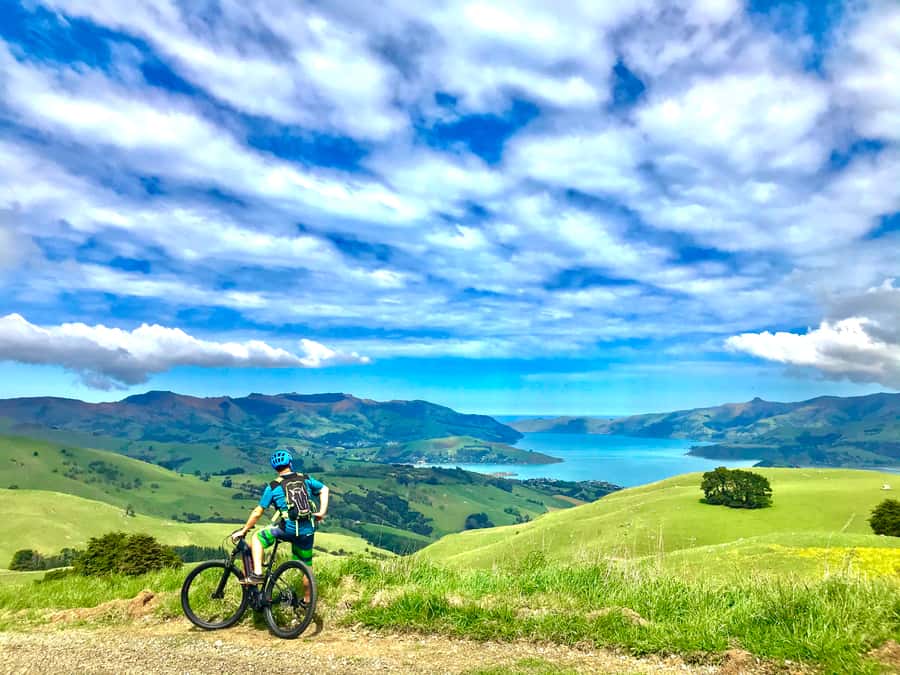 Akaroa Explorer: Guided Electric Mountain Bike Tour - Coastal roads and Pacific views