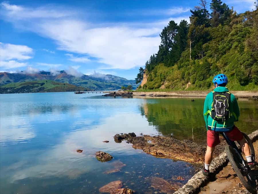 Akaroa Explorer: Guided Electric Mountain Bike Tour - Descents, fresh air, and the active part