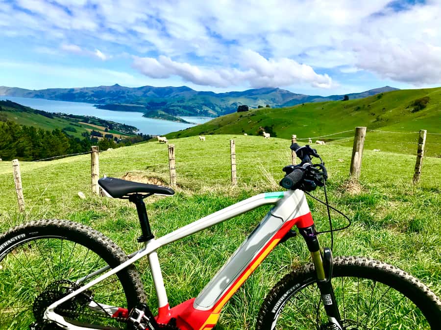 Akaroa Explorer: Guided Electric Mountain Bike Tour - Guide quality and group atmosphere