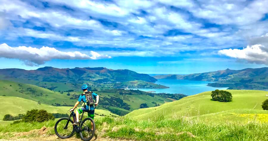 Akaroa: Guided Electric Mountain Bike Tour-Lava Loop - The descent brings the fun factor