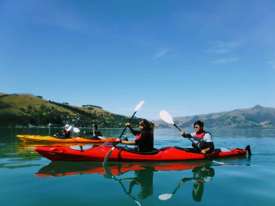 Akaroa: Guided Sunrise Sea Kayaking Tour - Why sunrise works so well in Akaroa Harbour