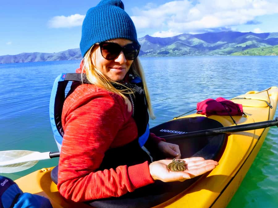 Akaroa: Guided Sunrise Sea Kayaking Tour - Paddling through the marine reserve