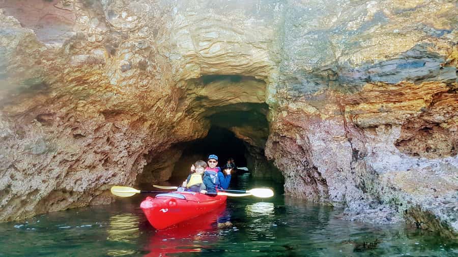 Akaroa: Guided Sunrise Sea Kayaking Tour - Wildlife encounters are possible, not promised