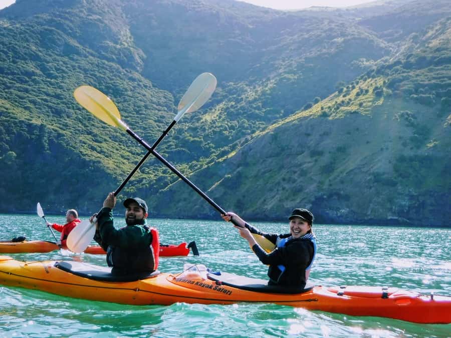 Akaroa: Guided Sunrise Sea Kayaking Tour - What $92 gets you