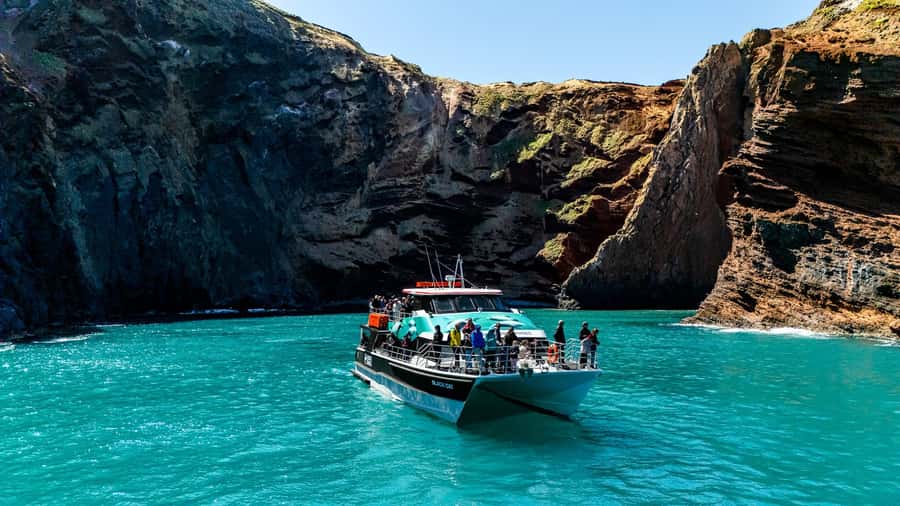 Akaroa Harbour 2-Hour Dolphin Nature Cruise - Leaving the Main Wharf in Akaroa