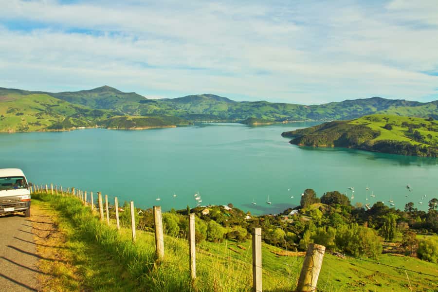 Akaroa: Pohatu Penguins Scenic Nature 2-Hour or 4-Hour Tour - Arriving at the working farm near Flea Bay
