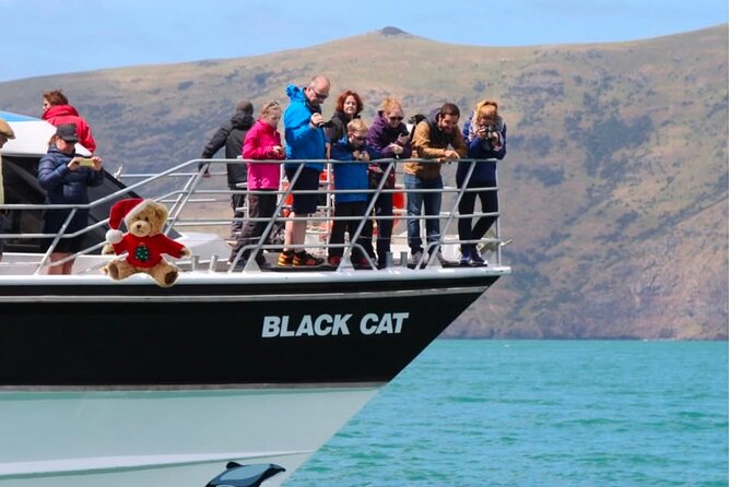 Akaroa Private Day Trip From Christchurch - The optional catamaran dolphin cruise