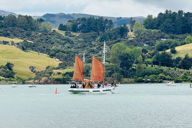 Akaroa Private Group Day Trip from Christchurch - The optional catamaran cruise and wildlife