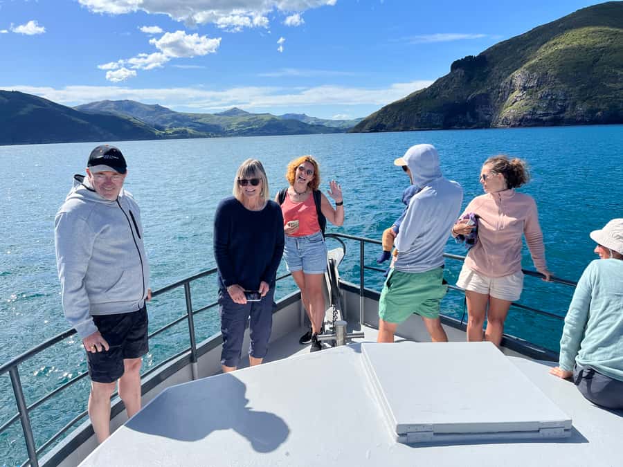 Akaroa: Scenic Coastline Wildlife Cruise - Who will enjoy this small-boat outing