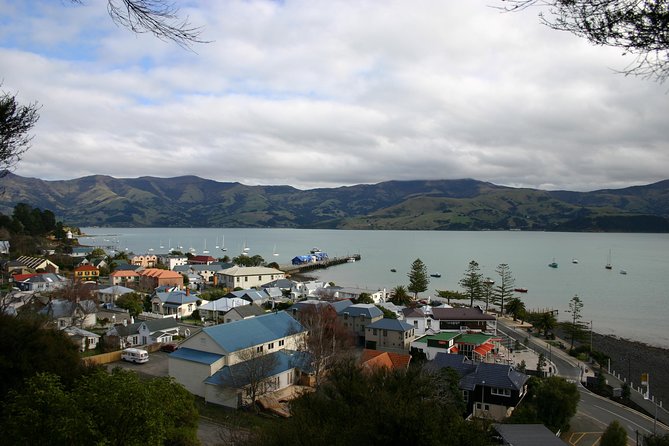 Akaroa Shore Excursion: Akaroa Harbour and Sheep Farm Local Tour - Group size, guide style, and the one serious caution