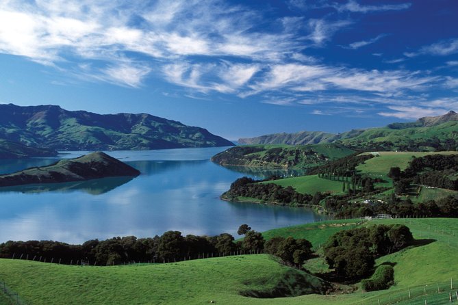 Akaroa Shore Excursion: Christchurch City Tour and Jet Boating - Christchurch Botanic Gardens and central city sights