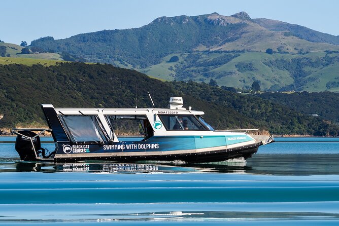 Akaroa Swim with Dolphins Tour from Christchurch - Why swimming with Hector’s dolphins feels different