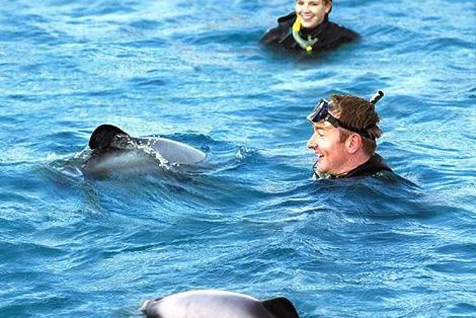 Akaroa Swim with Dolphins Tour from Christchurch - Governor’s Bay, Gebbies Pass, and Lake Ellesmere