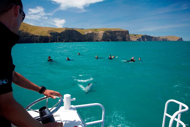 Akaroa Swim with Dolphins Tour from Christchurch - Akaroa Harbour by boat