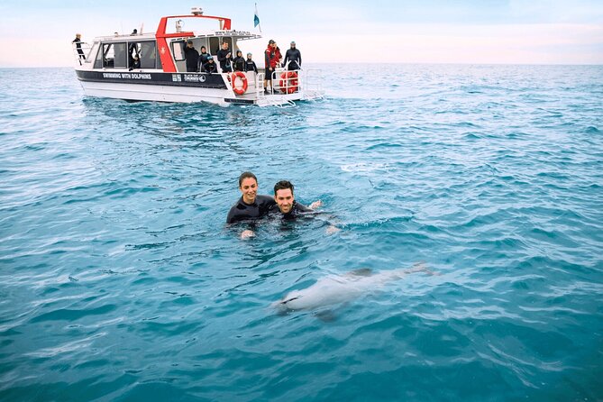 Akaroa Swim with Dolphins Tour from Christchurch - Getting ready for the water