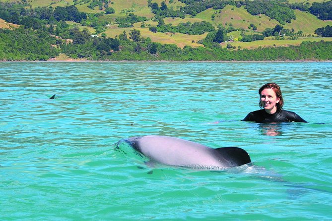 Akaroa Swim with Dolphins Tour from Christchurch - The 8:30 a.m. departure from Christchurch