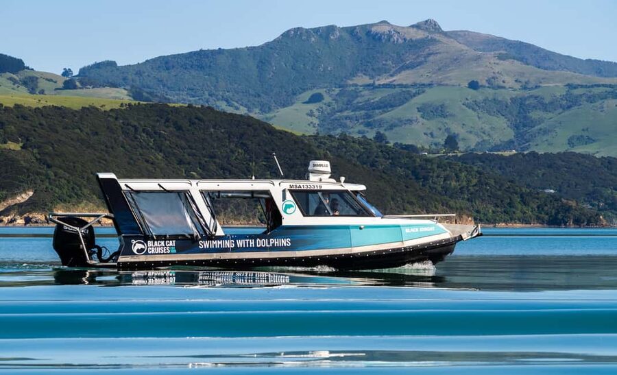 Akaroa: Swimming with Wild Dolphins Experience - My booking advice