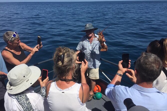 Akaroa Wildlife Cruise - Watching for Hector’s dolphins