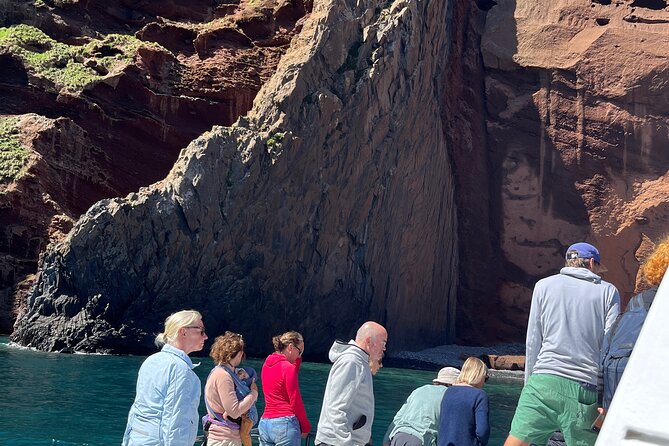 Akaroa Wildlife Cruise - Seals, penguins, and seabirds