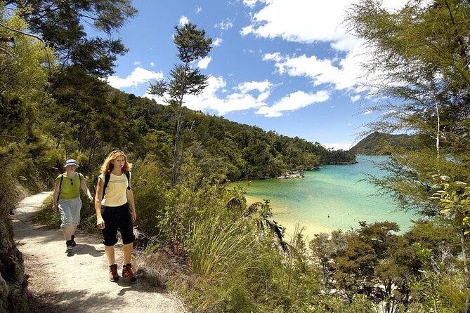 Anchorage Walk and Sail - Sailing past beaches, bays, islands, and birdlife