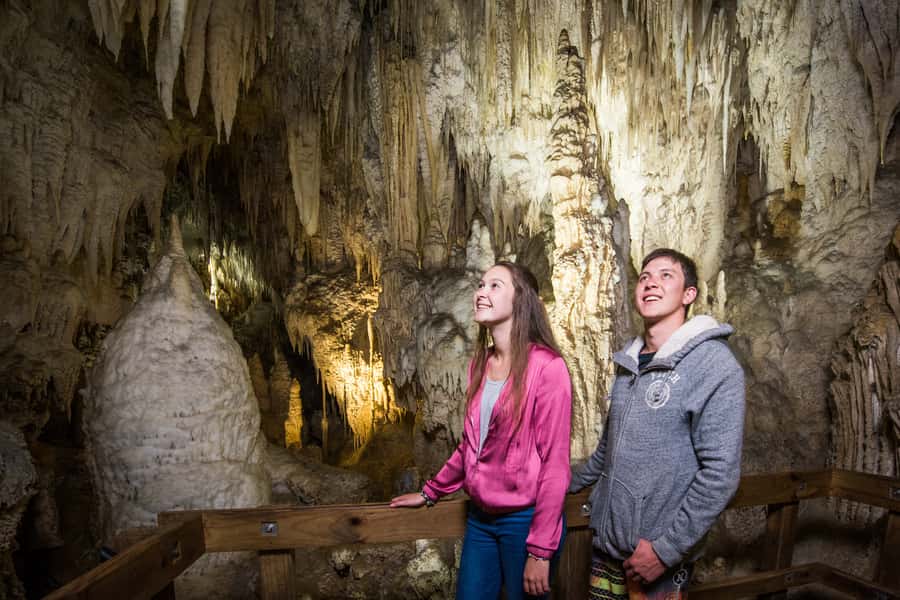 Aranui Cave 1-Hour Guided Tour - Aranui Cave offers a different side of Waitomo