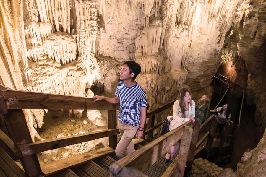 Aranui Cave 1-Hour Guided Tour - A 15-minute bush walk starts the outing