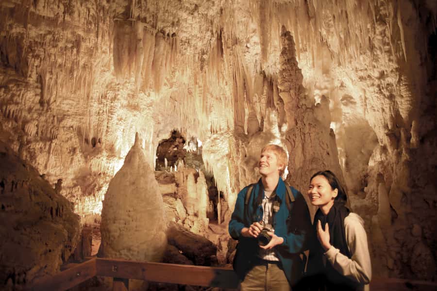 Aranui Cave 1-Hour Guided Tour - High chambers and delicate limestone formations