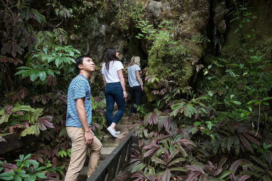 Aranui Cave 1-Hour Guided Tour - Small groups make a real difference underground