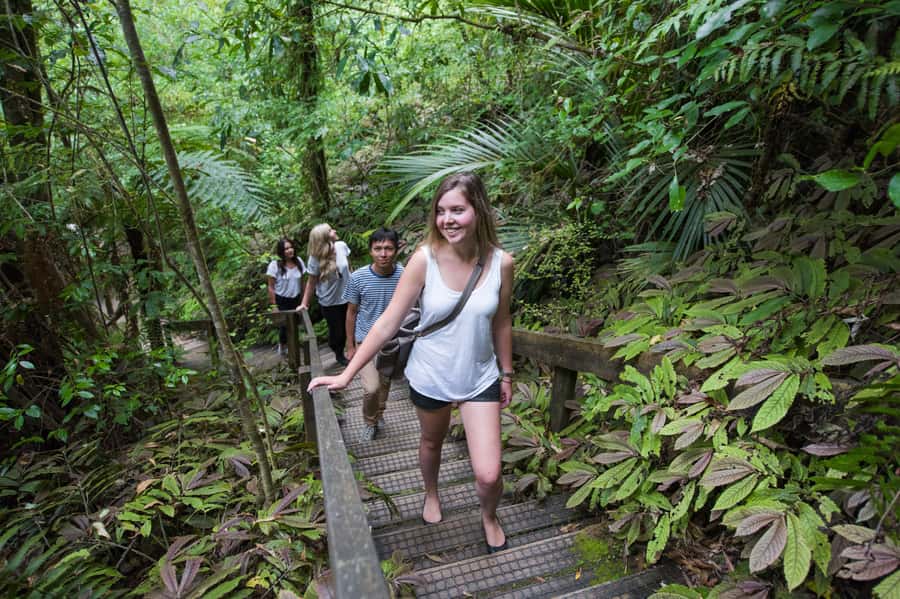 Aranui Cave 1-Hour Guided Tour - The guide brings Maori stories and geology together