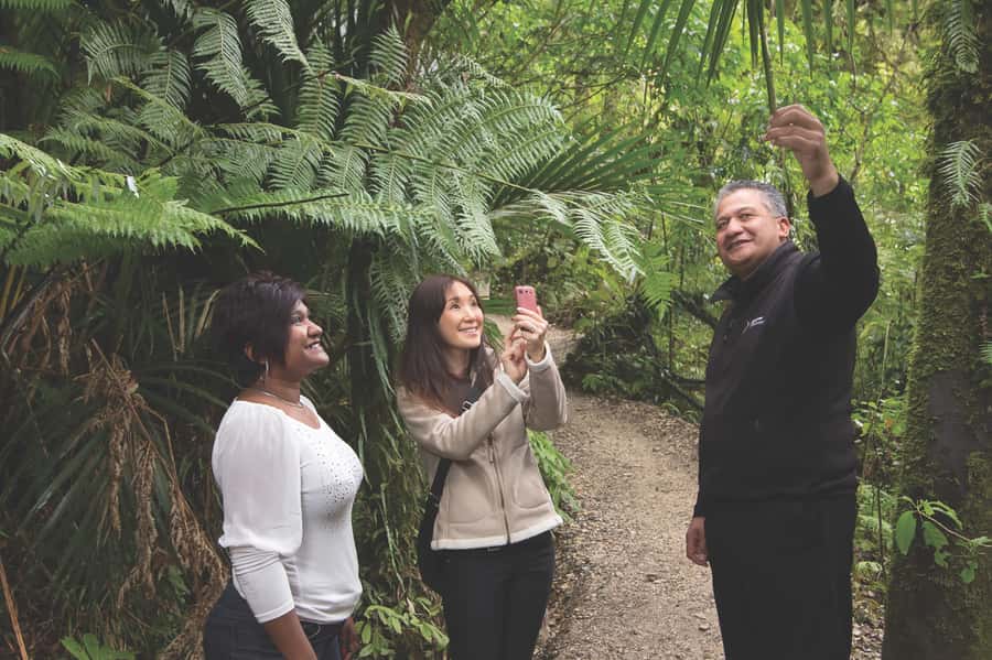 Aranui Cave 1-Hour Guided Tour - Timing matters more than it first appears