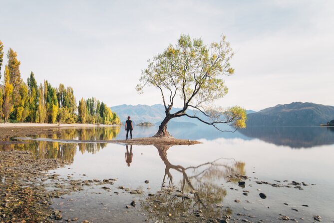 Arrowtown and Wanaka Highlights Tour from Queenstown - Key points at a glance