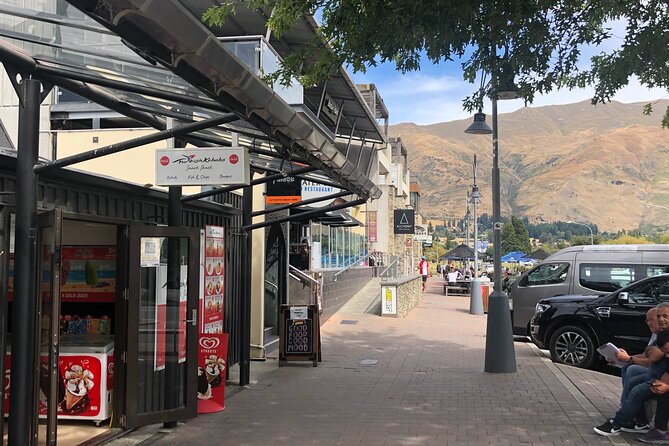Arrowtown and Wanaka Highlights Tour from Queenstown - The Wanaka Tree is a quick stop with a clear purpose