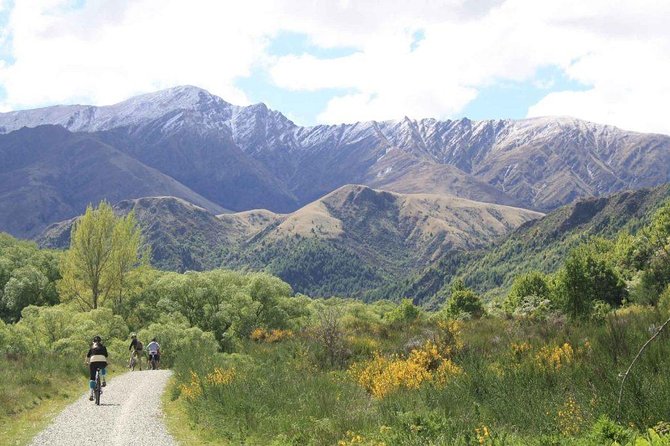 Arrowtown Mountain Bike Hire - How the price compares with the freedom you receive