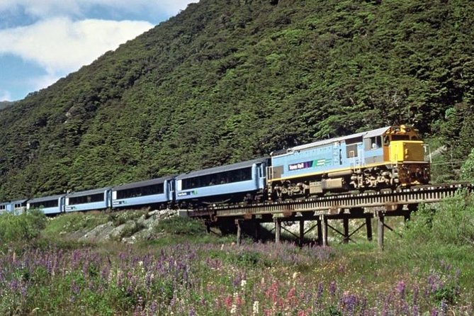 Arthur's Pass and TranzAlpine Train Day Tour from Christchurch - Why this Christchurch day tour works so well